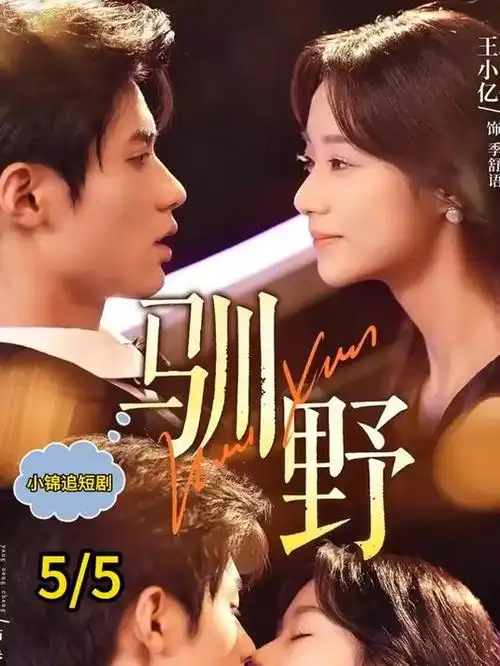 热播电视剧全集破雾者在线看